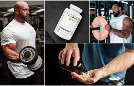 Ecdysteron: Seine Wirkung auf Muskelaufbau, Kraft und Testosteronspiegel