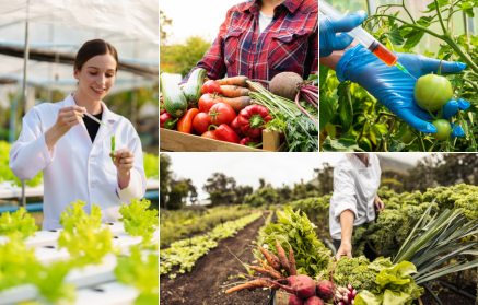 Gentechnisch veränderte Lebensmittel: Rettung oder Bedrohung?