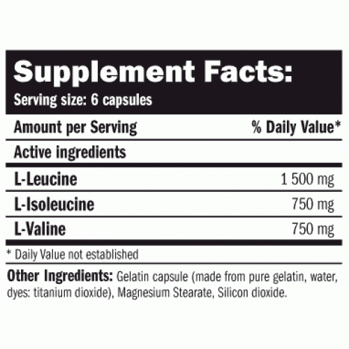 BCAA Elite Rate - Amix 220 KAP
