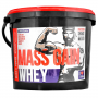 Whey Mass Gain (3000 g) - Megabol 3000 g - Vanille