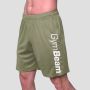 Mesh Shorts Essence Green- GymBeam L