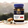 MGO™ 250+ Manuka Honig - Manuka Health 250 g