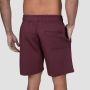 Relay Shorts Fig - GymBeam S