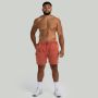 Shorts in Washed Terra - STRIX L