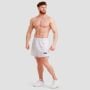 Unity Shorts in Grey - GymBeam xxxl