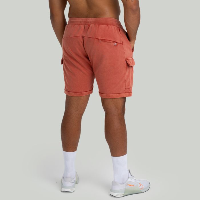 Shorts in Washed Terra - STRIX L
