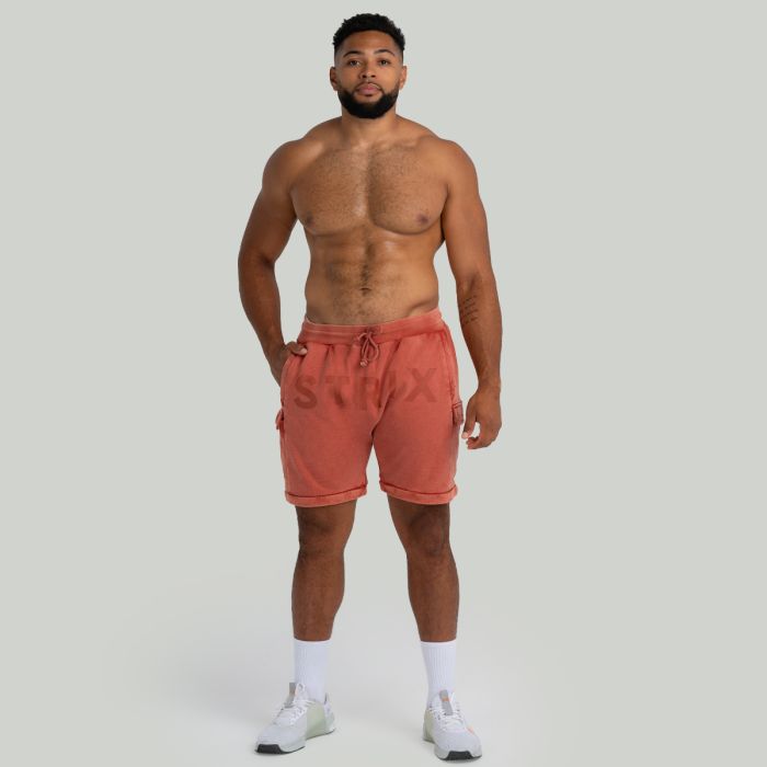 Shorts in Washed Terra - STRIX L