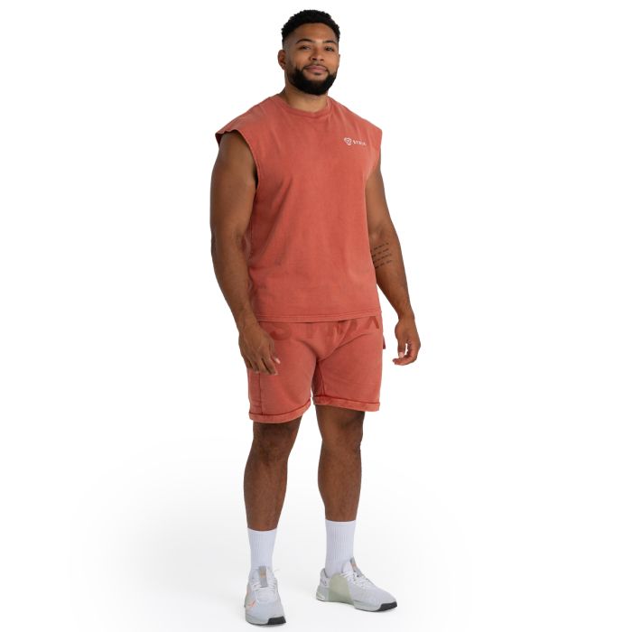 Shorts in Washed Terra - STRIX L