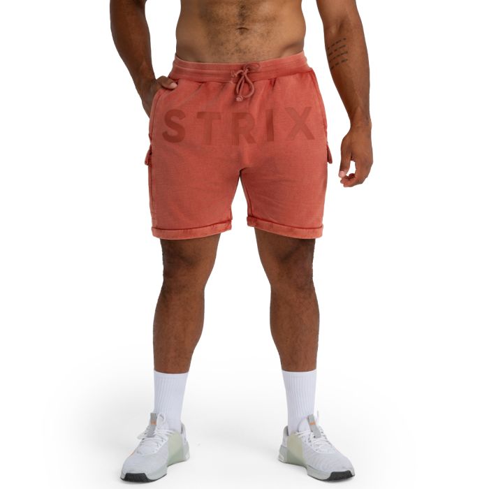 Shorts in Washed Terra - STRIX L