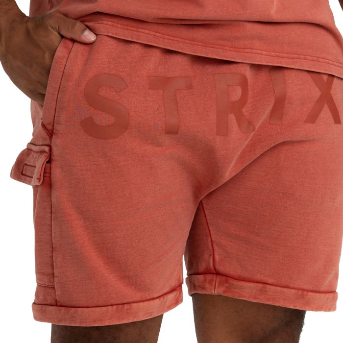 Shorts in Washed Terra - STRIX L