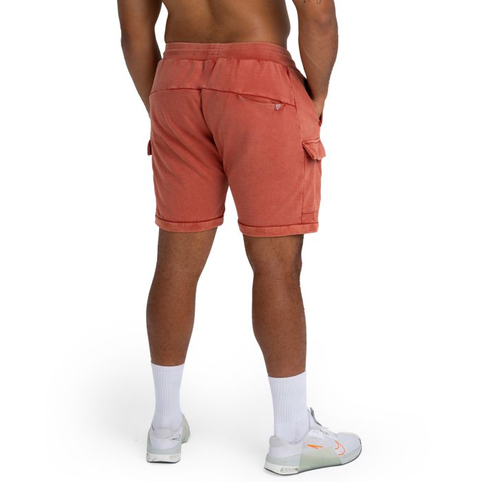 Shorts in Washed Terra - STRIX L