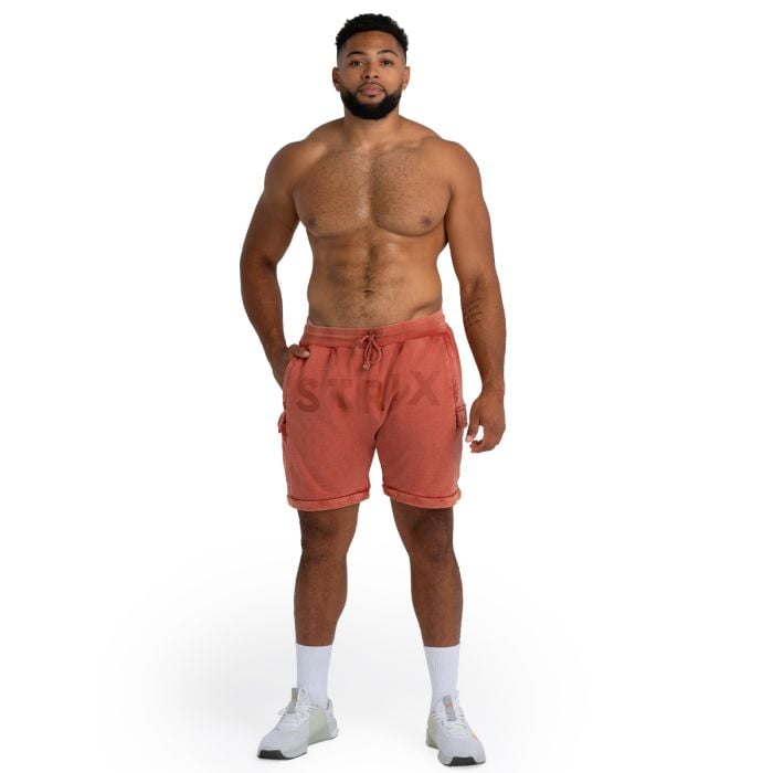 Shorts in Washed Terra - STRIX L